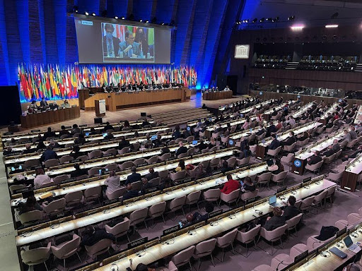 IFIP Welcomes Adoption of UNESCO Recommendations on AI